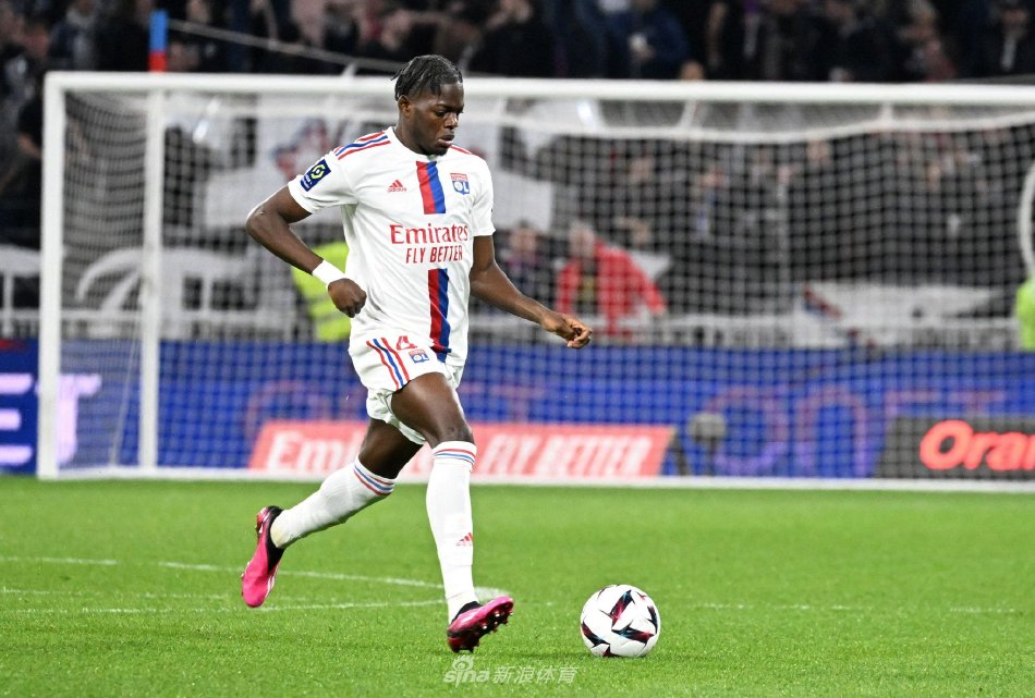 正如新西兰 正如新西兰