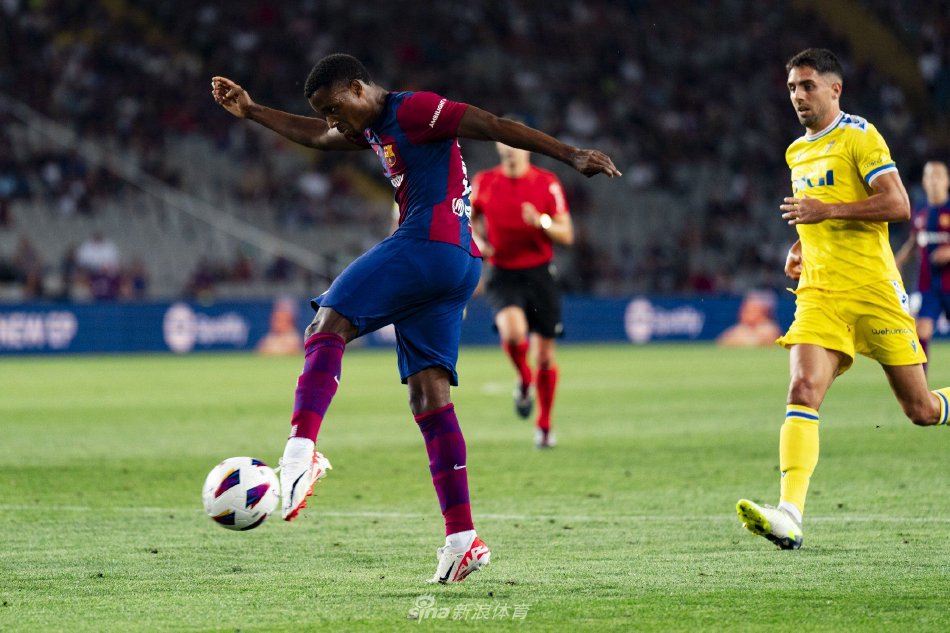 引起了巨大 引起了巨大